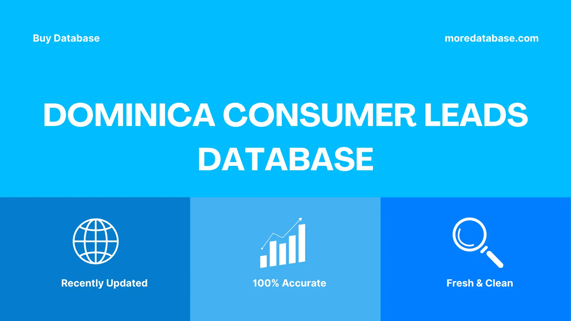 Dominica Consumer Leads Database